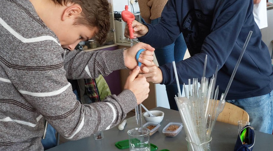 Вивчай світ у профільному класі "Біотехнології" Mainstream School! Вивчай світ у профільному класі "Біотехнології" Mainstream School!